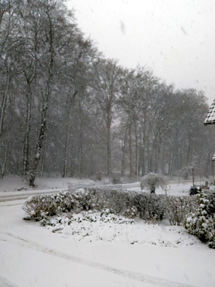 Anna's B&B Rijssen