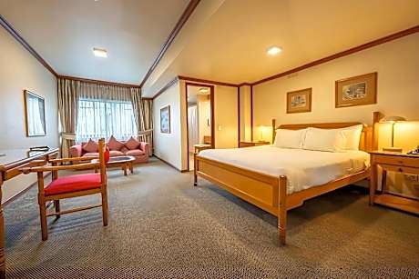Executive Room (1 person)