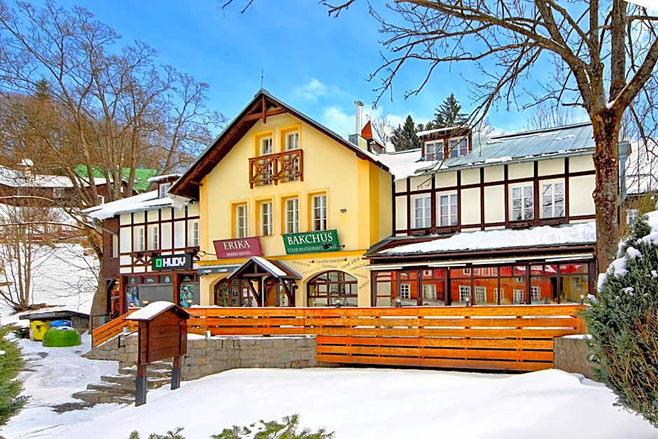 Hotel Erika