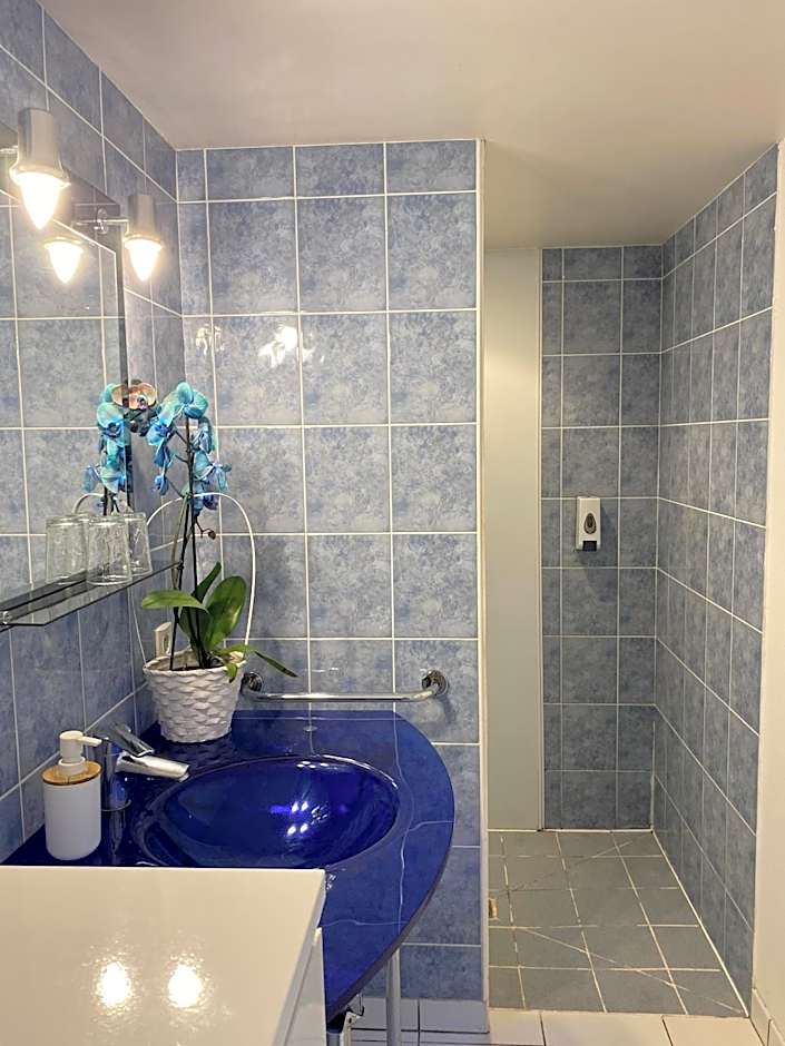 Les Mariniers Chambres d'Hôtes avec aire de jeux proche du ZooParc de Beauval - Spa nordique en option