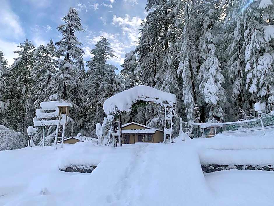 Mashobra Greens Shimla