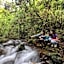 Dantica Cloud Forest Lodge