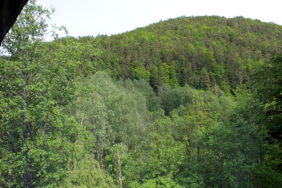Pension Waldhof am Stubenbergsee