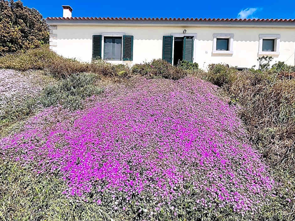 La Striscia Larga