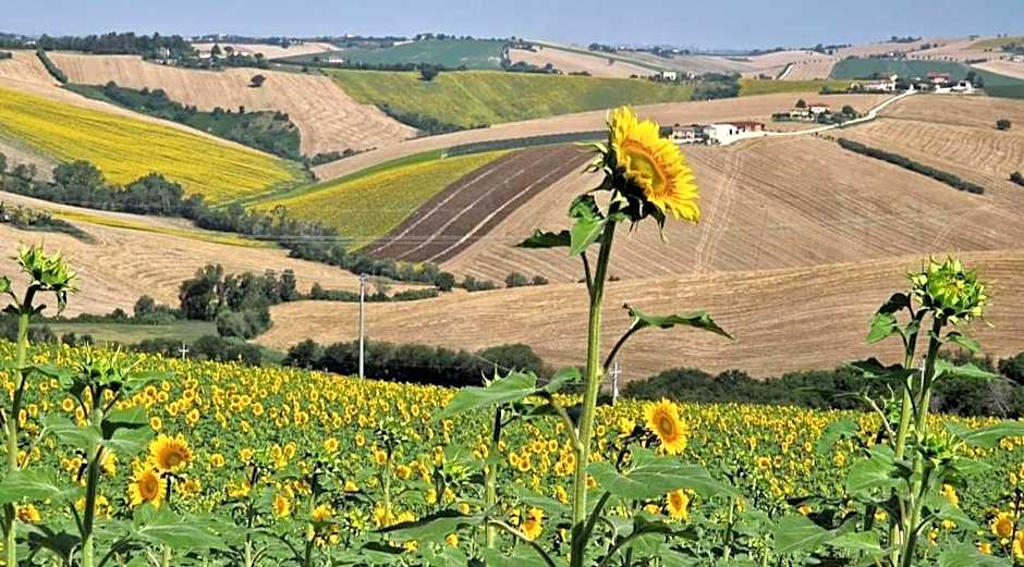 B&B I Pini Di Storaco