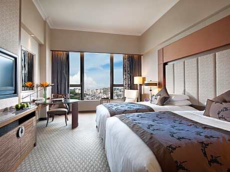 Superior Twin Room with City View