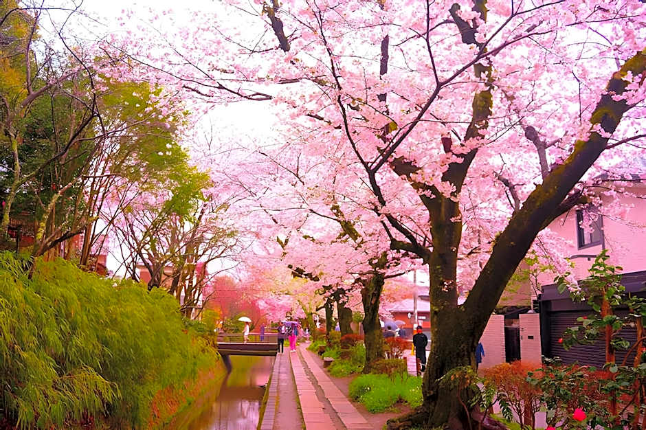 SEN Gojo KAMICHO (Dog Friendly)