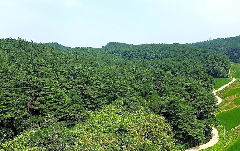 Yangyang International Airport Hotel