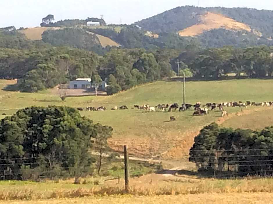 Aashay Country Stay