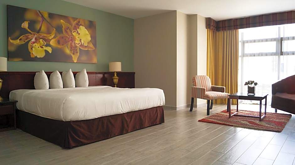 Hotel Palma Real