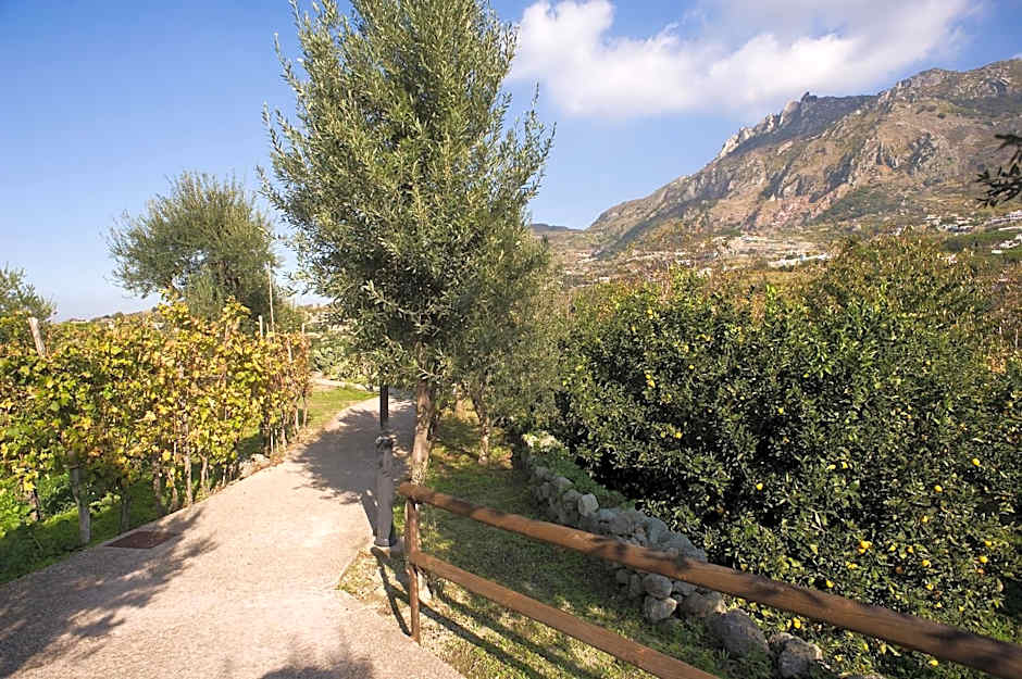 Park Hotel Terme Mediterraneo