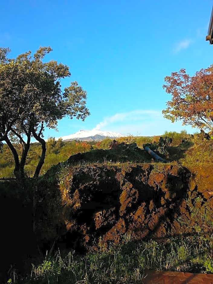 Etnella enoagriturismo Notti Stellate