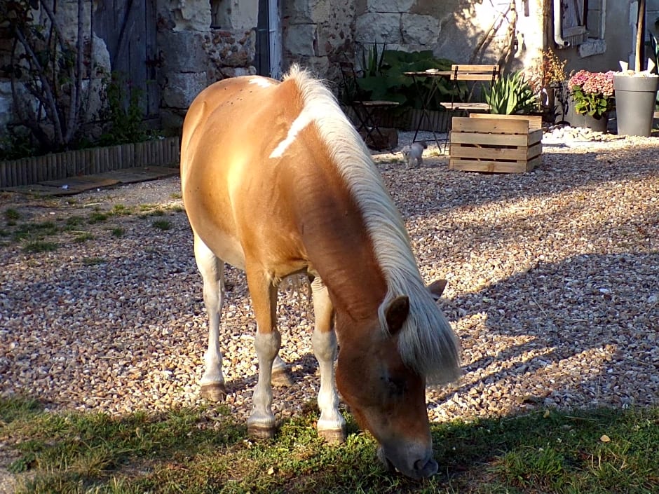 Les chambres du Vau Profond