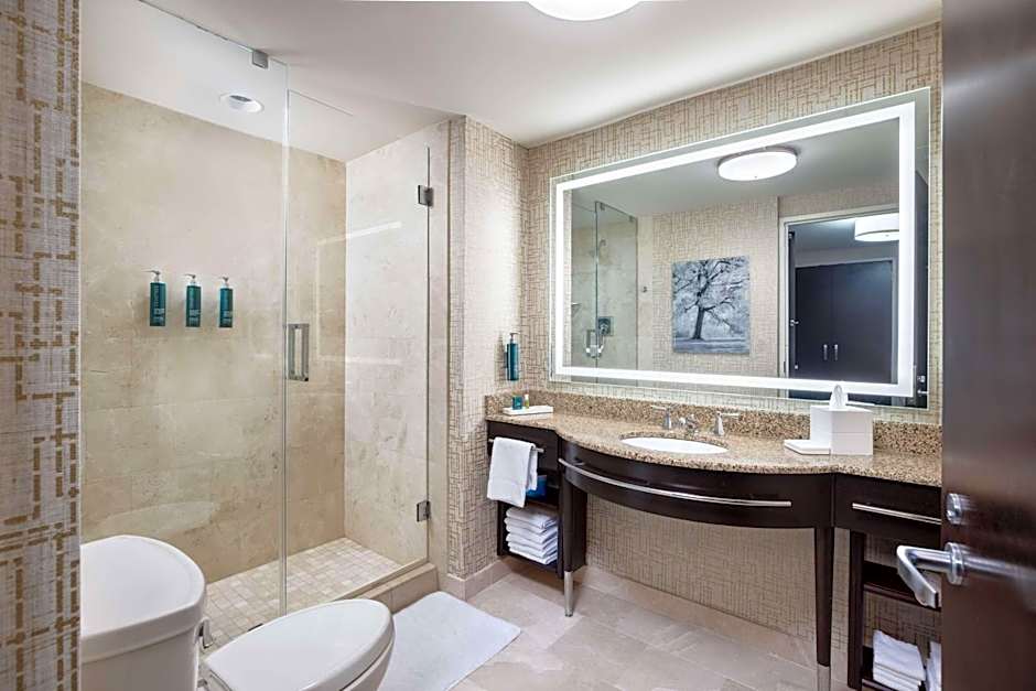 Hilton Americas- Houston