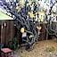 Sunshine La Bnb