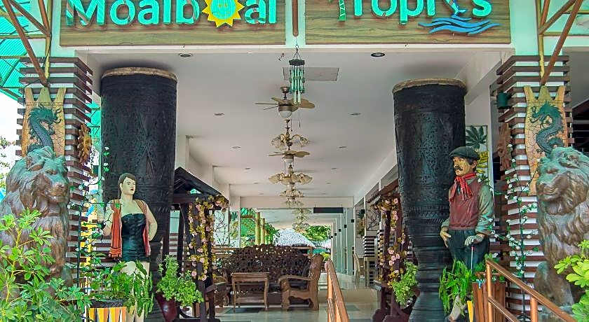 Moalboal Tropics