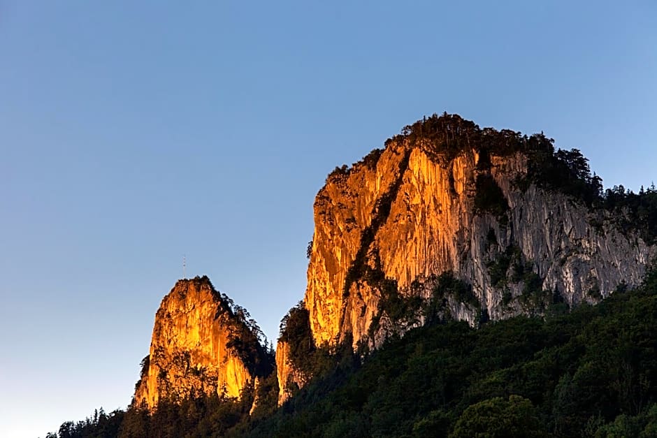 Hotel Apartment Auwirt