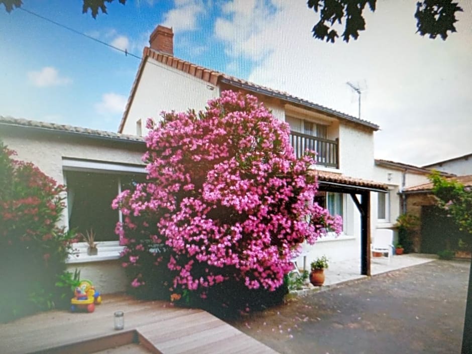 Chambres d'Hôtes Vignes et Loire