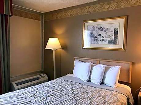1 Queen Bed Non-Smoking