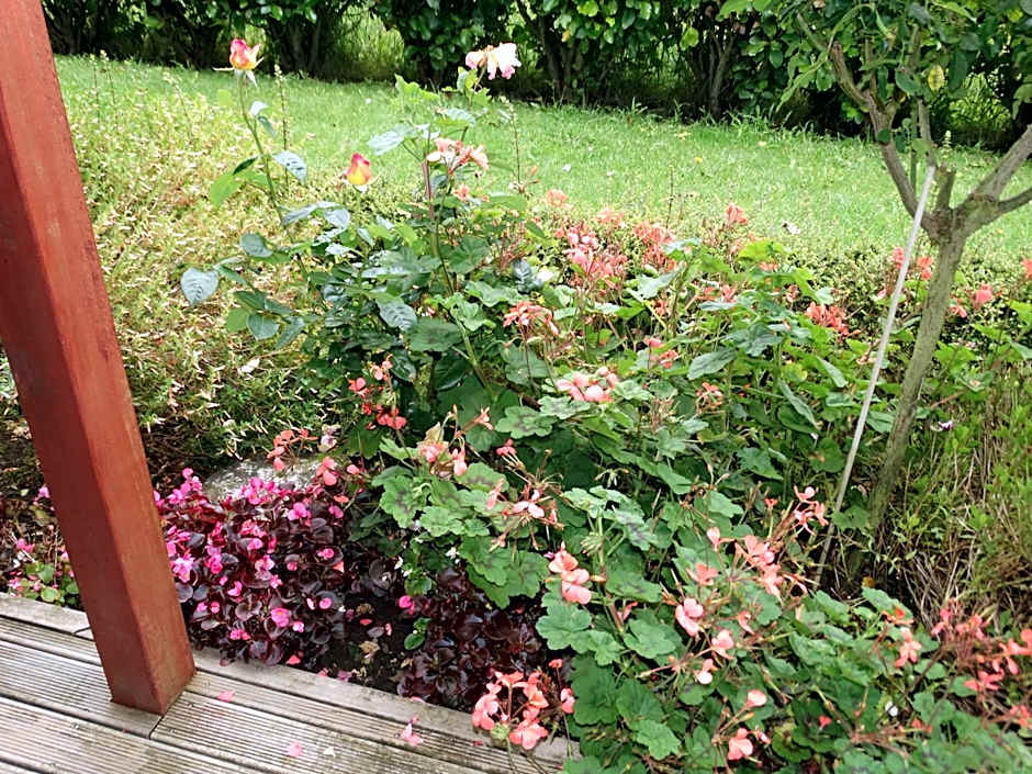 Kauri Lodge Karapiro