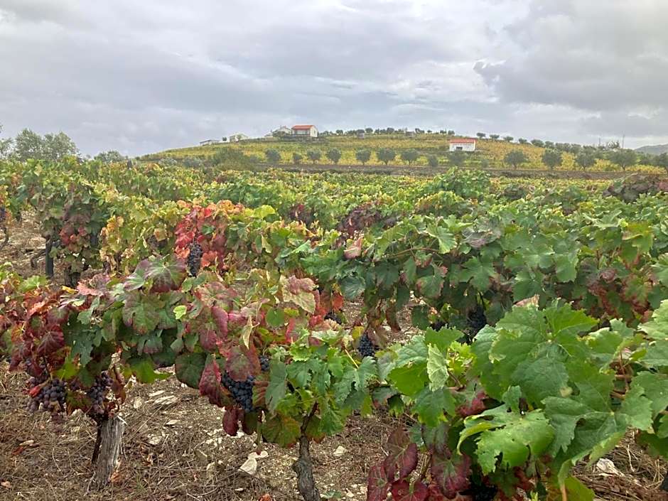 Placido Hotel Douro - Tabuaco