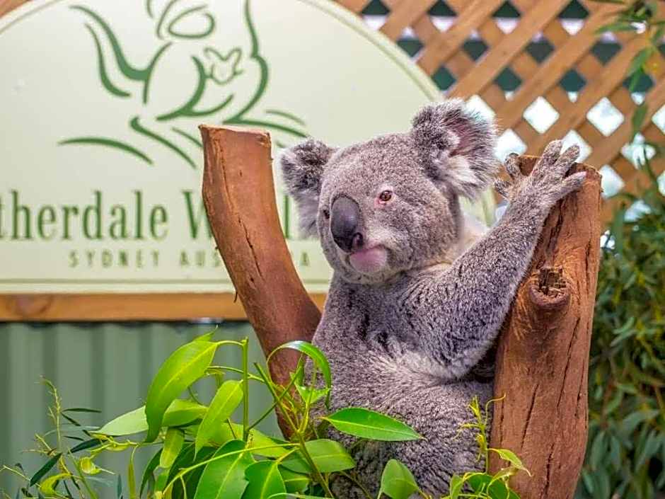 Aircabin - Seven Hills - Lovely - 3 Beds Townhouse