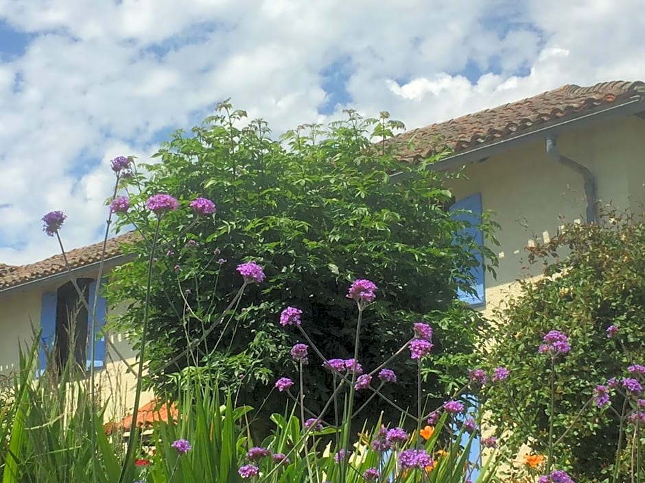 Michouat Chambre D'Hotes