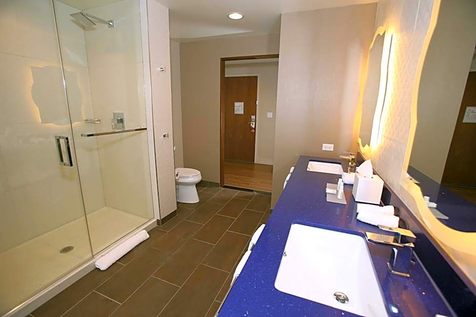 Hotel Indigo Naperville Riverwalk By IHG