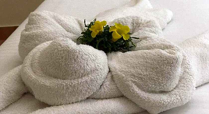 Daffodils Spice Court