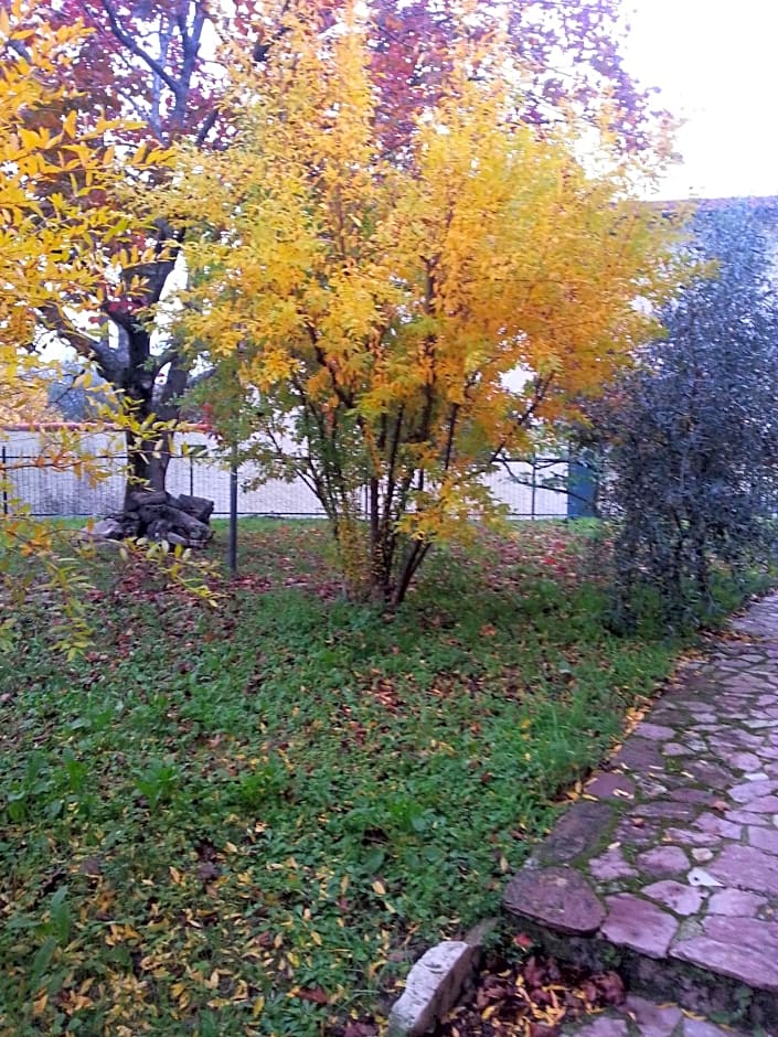 Gli Aceri B&B