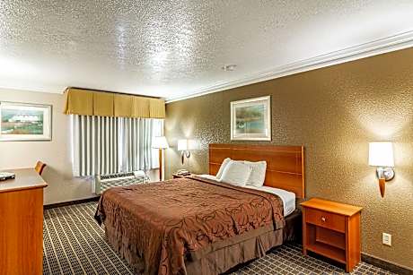 1 King Bed | Suite, Non-Smoking, Micfridge