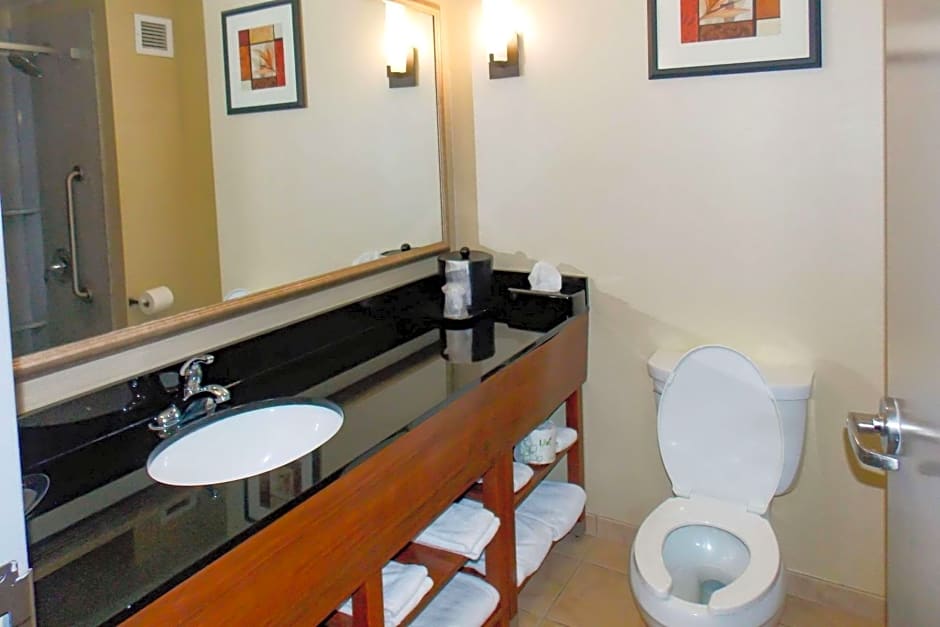 Comfort Suites Salem-Roanoke I-81