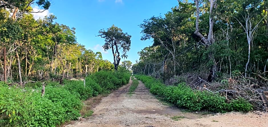 Energy Tulum Holistic Ranch