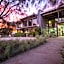Apollo Bay Eco YHA