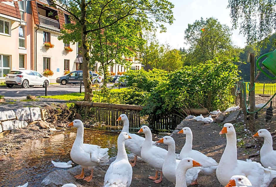 Hotel Waldmühle