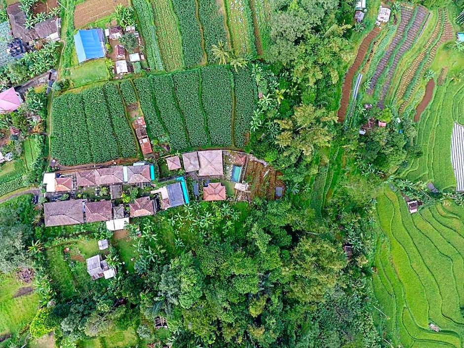 Pondok Nyoman Bedugul by AGATA