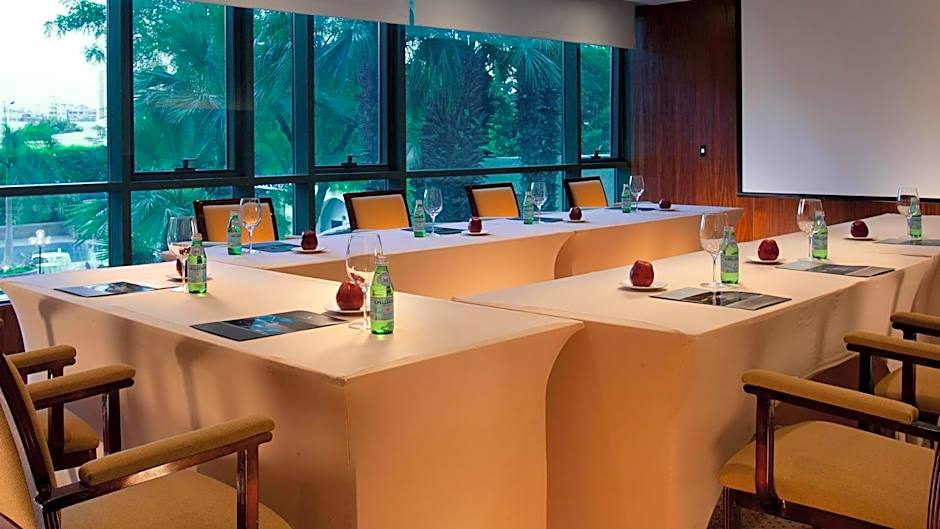 Sonesta Hotel Tower & Casino Cairo