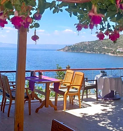 Hotel Mola