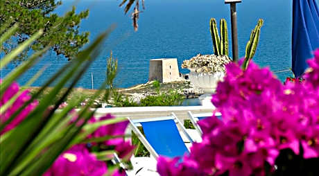 One-Bedroom Apartment (4 Adults)