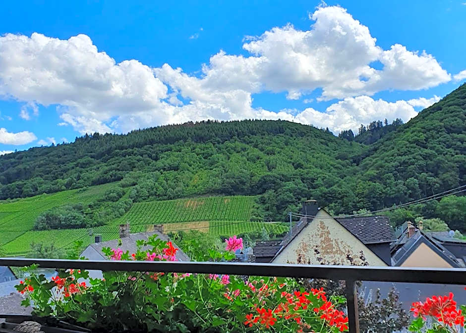 Ferienweingut Stein