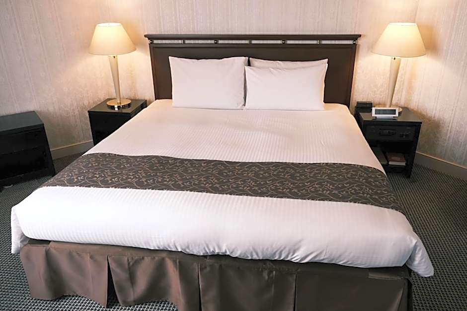 Kurashiki Royal Art Hotel