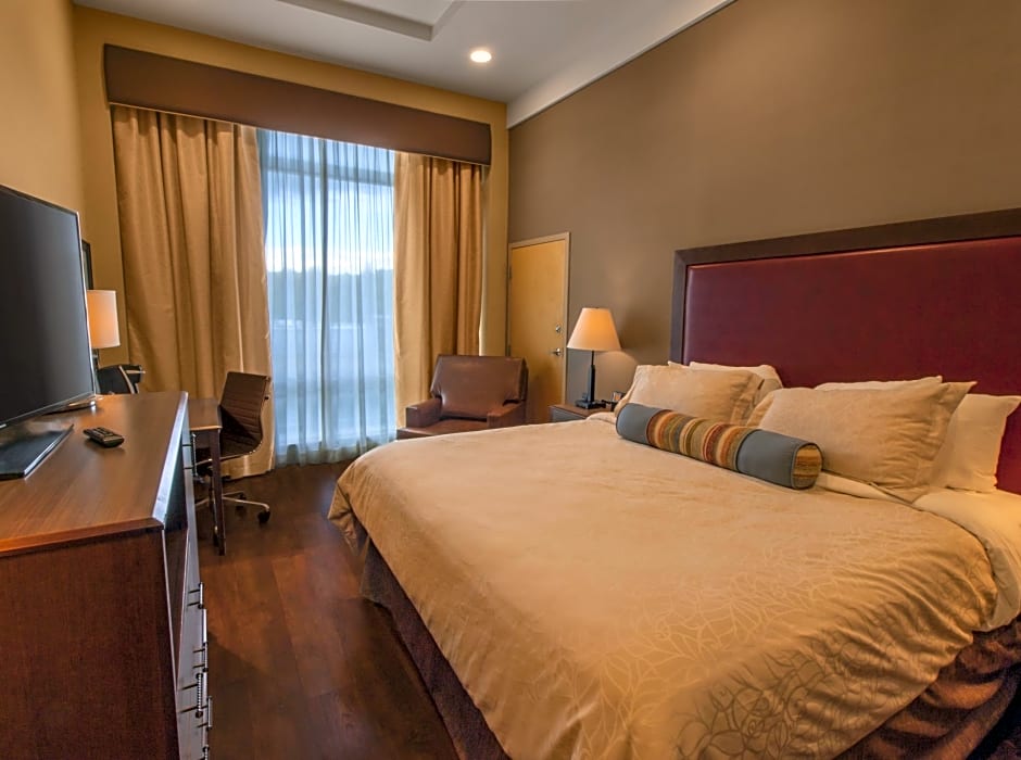 Foto 1 daripada 4 — 1 King Bed, Accessible