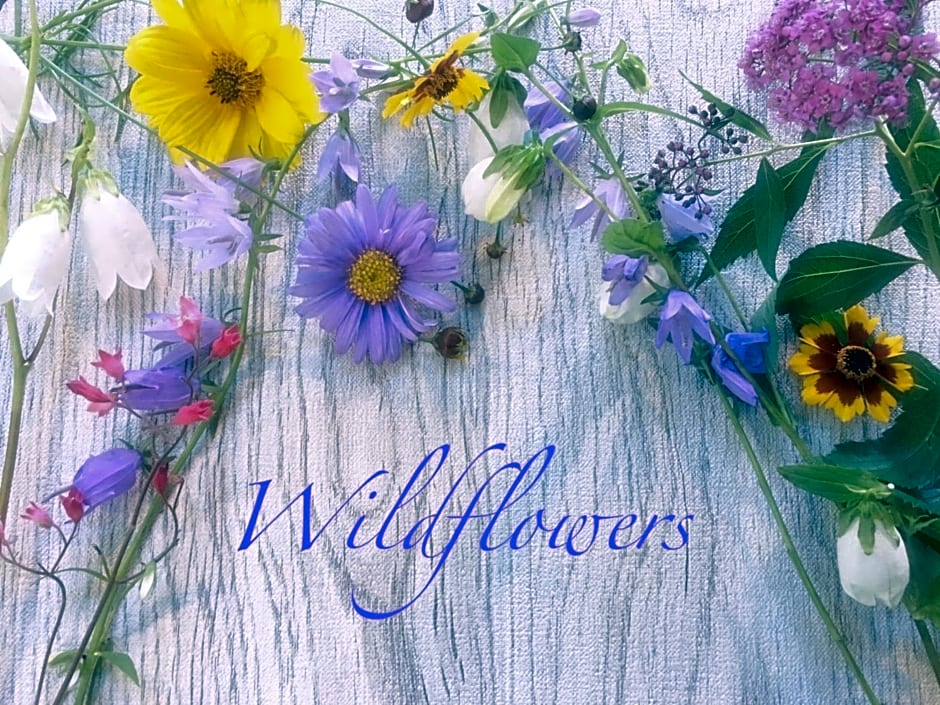 Pension Wildflowers