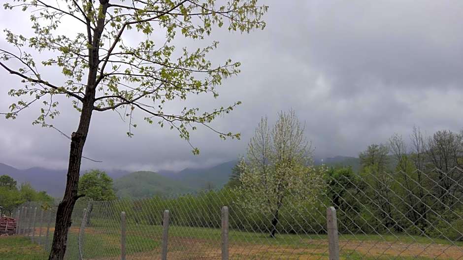 Комплекс Тянкови къщи