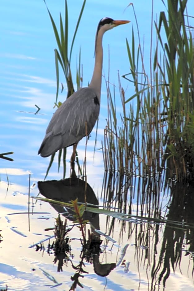 Marshlands Lakeside Nature Retreat