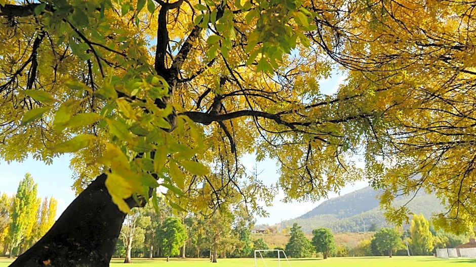 New Norfolk Junction Motel