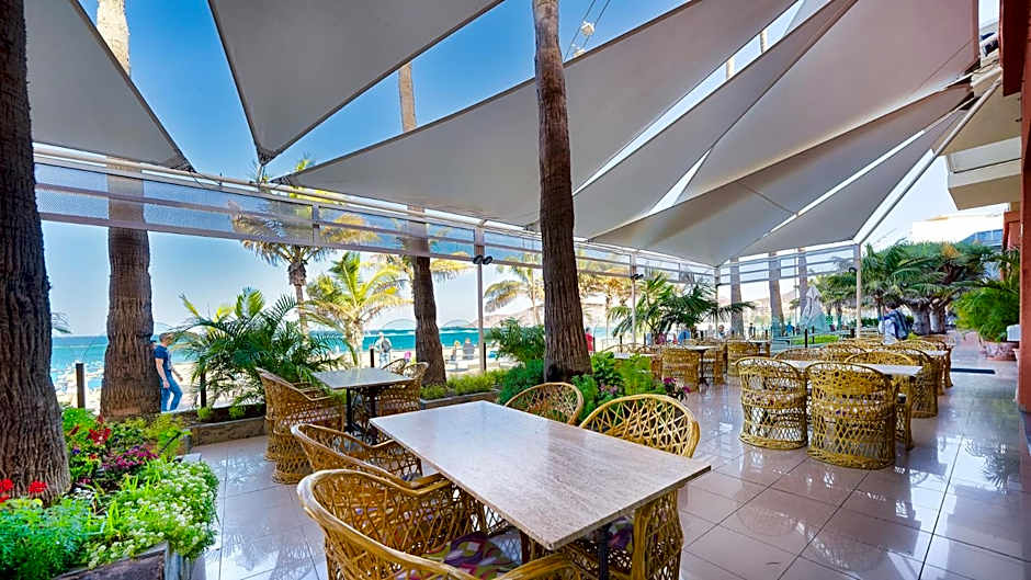 BULL Reina Isabel & SPA