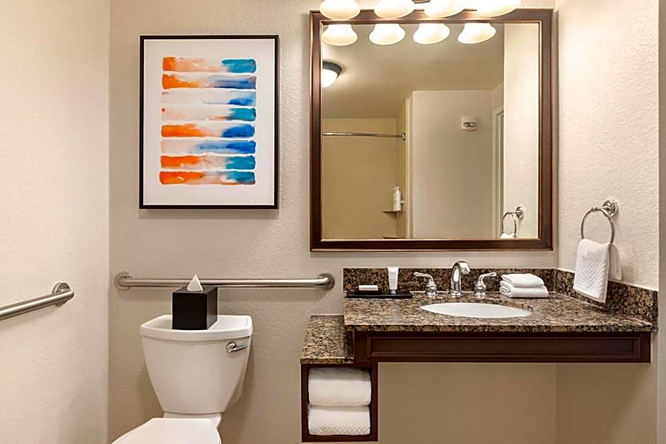 Embassy Suites by Hilton Orlando Lake Buena Vista South