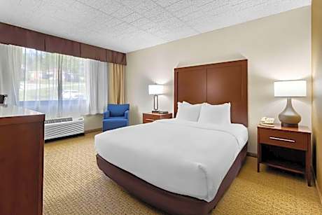 Queen Room - Disability Access/Non-Smoking