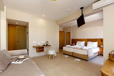 Superior Double or Twin Room with Pool View